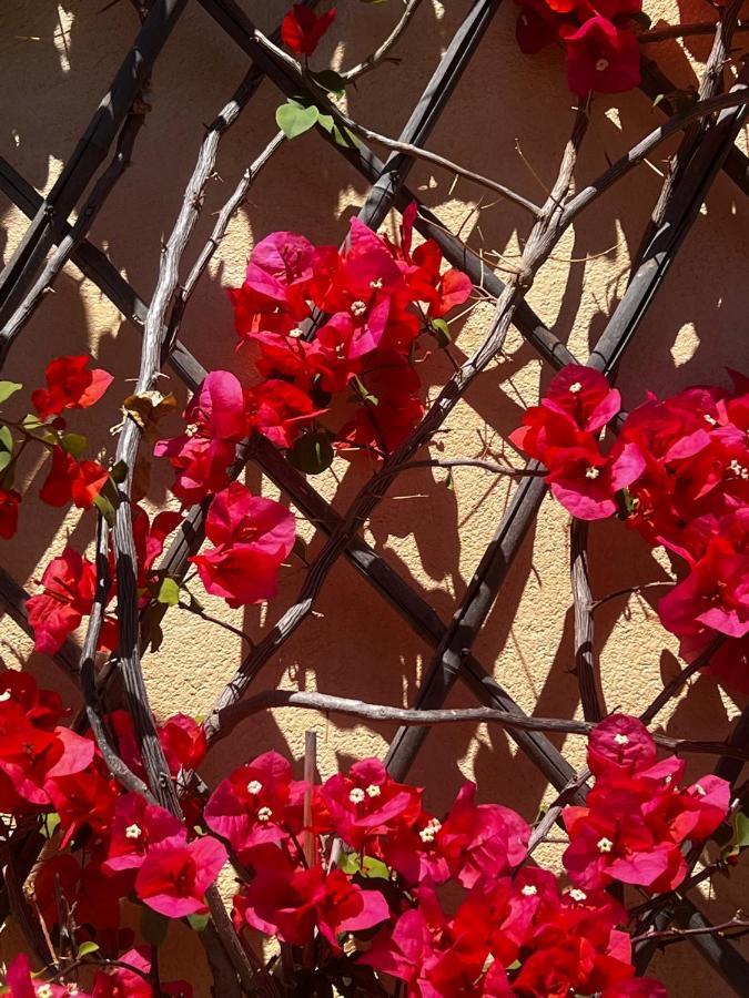 Agriturismo Le Merline Arnasco Dış mekan fotoğraf
