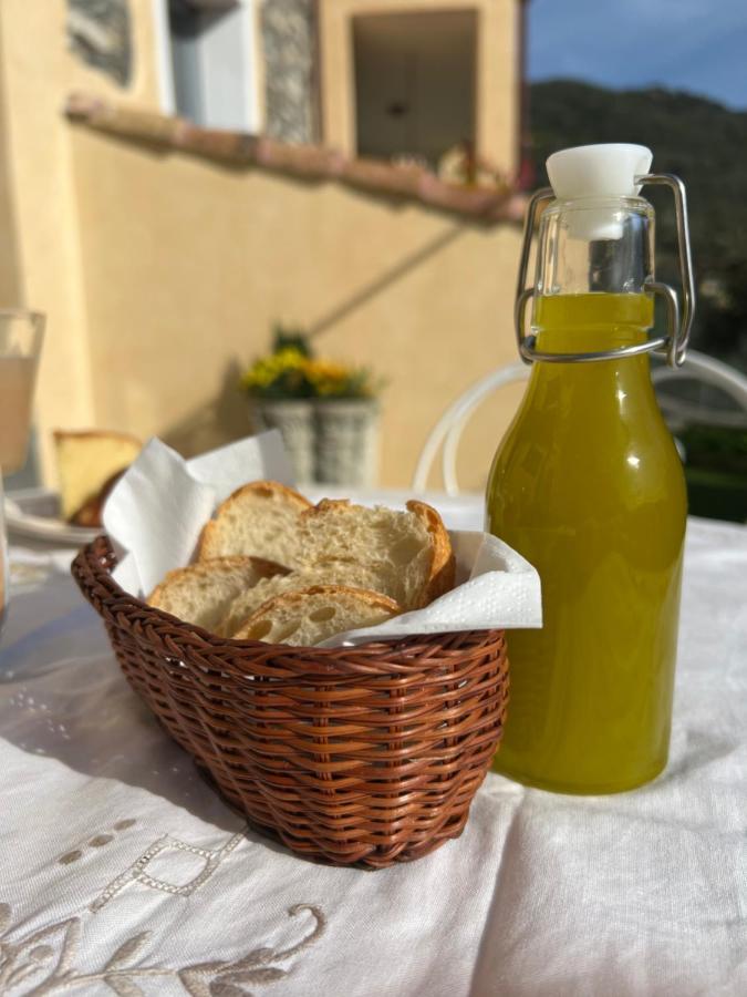 Agriturismo Le Merline Arnasco Dış mekan fotoğraf